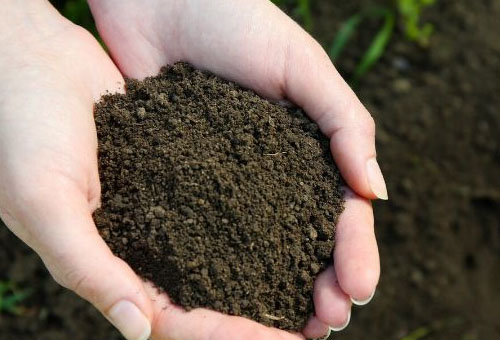 施用生物有機肥農(nóng)民可增收